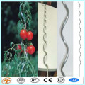 estacas de espiral de tomate flexible galvanizado